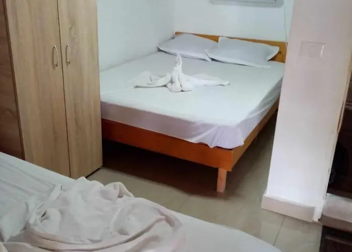 Masy Gasthof Costinești